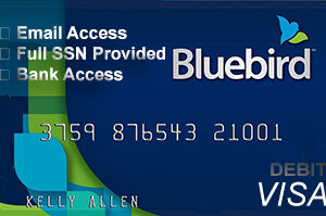 Bluebird Bank Account