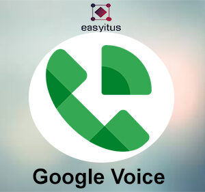 Google Voice Account